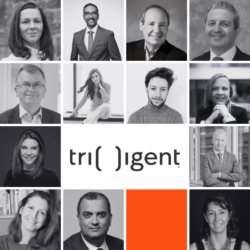 An image made up of 16 squares including photos of the members of the board and the Trilligent logo